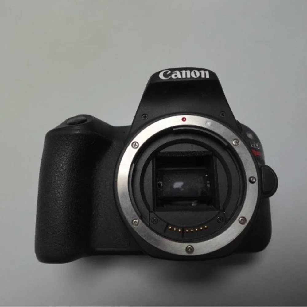 Canon Black and Silver DSLR Camera Body
